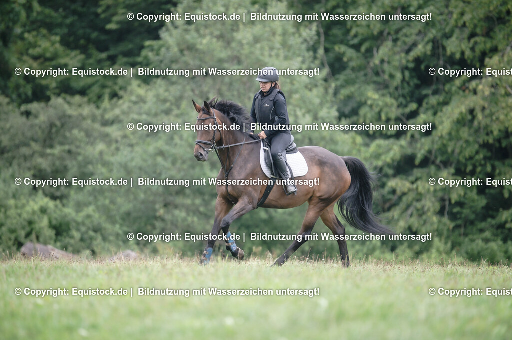 20250726_Vielseitigkeitslehrgang-Marbach_0334 | Foto: Thomas Hartig