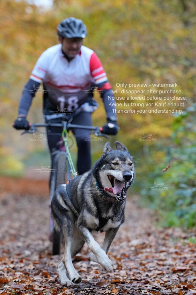 AusschnitteSo-76 | stephaniefillaphotographie - Realisiert mit Pictrs.com