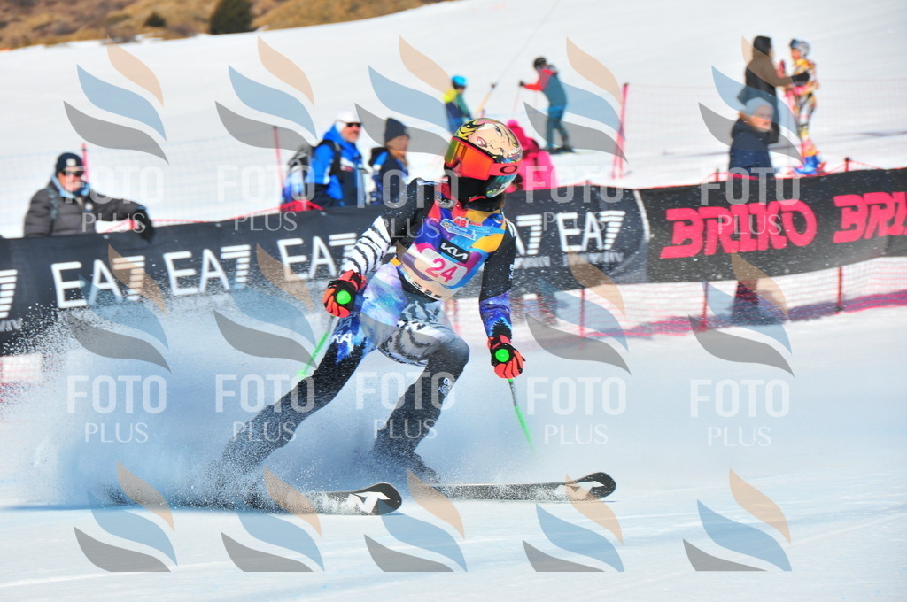 DSC_3876 | holidayphoto