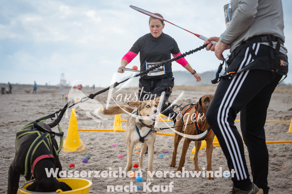 1214_ZZ95380 | kk-dogfotos