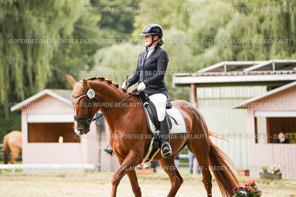 DSC08178 | Pferdegrafie