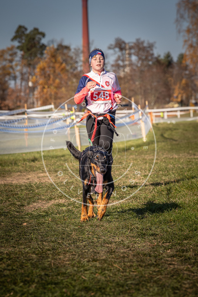 CaniXpix_0L8A7679 | Hundefotografie, Tierfotograf, Pfotenfotografie, Fotoshooting Hund, Hunde Portrait, Hundesport, Hundeportraits, Heideshooting, Hunde, Sportfotograf, Hundefotograf, Turnierhundsport, THS,  - Realisiert mit Pictrs.com