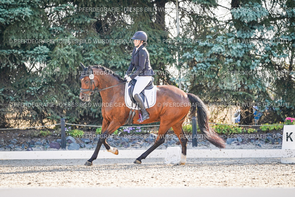 DSC09081 | Pferdegrafie