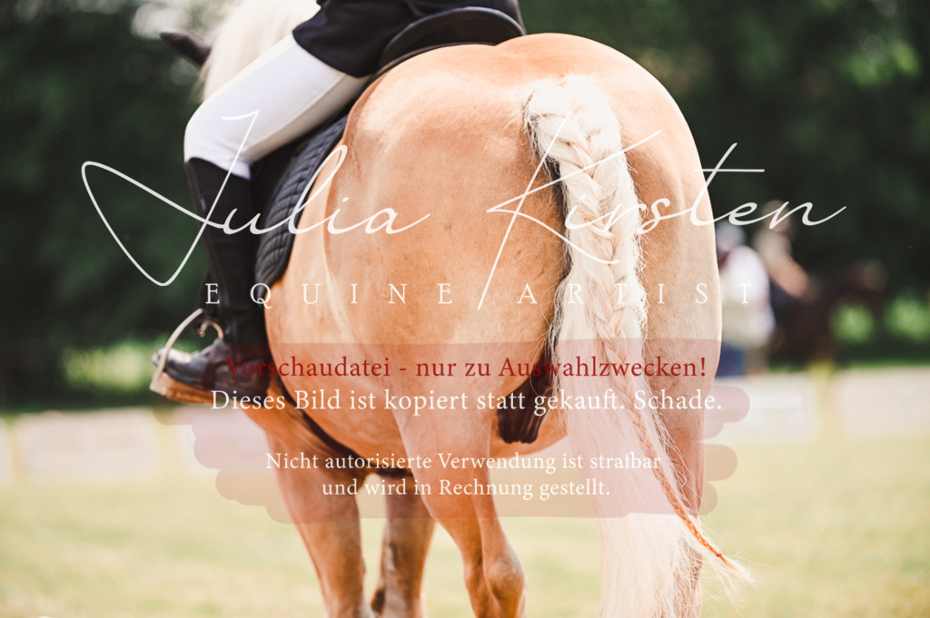 DSC_6385 | Pferde- und Turnierfotografie in Westsachsen. Pferdeportraits, Auftragszeichnungen und intuitive Kunst.