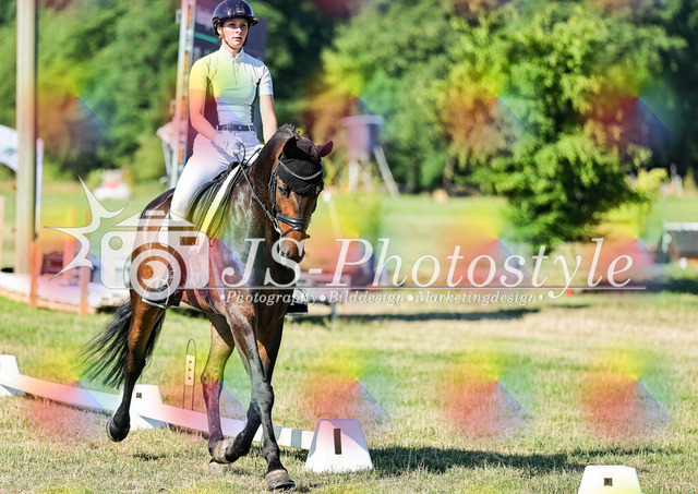 20260628_14a_VA_Dressur-104 | JS-Photostyle - Sport-/Portrait- & Eventfotografie