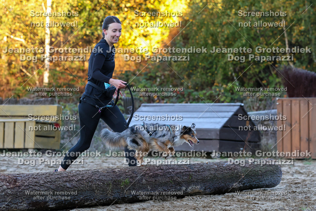 Dog Paparazzi - Strongdog 10-25-391 | Dog Paparazzi Jeanette Grottendiek Fotografie & Videografie - Realisiert mit Pictrs.com