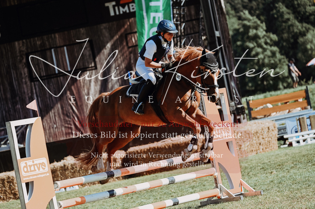 DSC_6947 | Pferde- und Turnierfotografie in Westsachsen. Pferdeportraits, Auftragszeichnungen und intuitive Kunst.