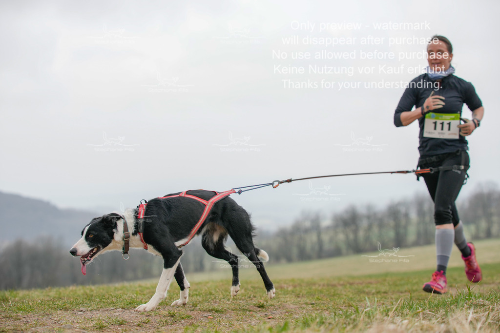 Canixlong-318 | stephaniefillaphotographie - Realisiert mit Pictrs.com