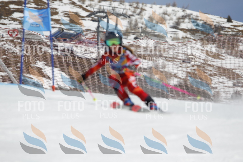 _U3G0392 | holidayphoto