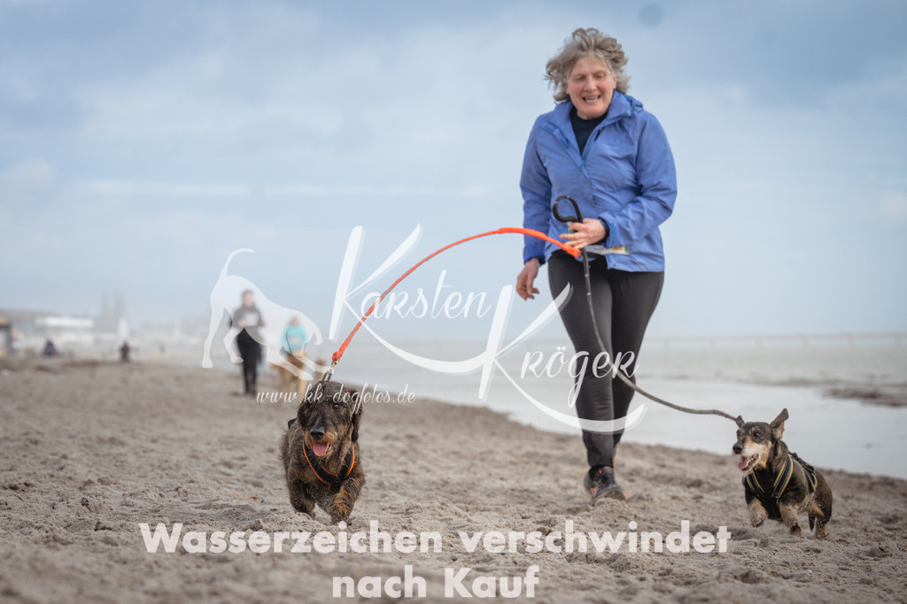 1211_ZZ94648 | kk-dogfotos