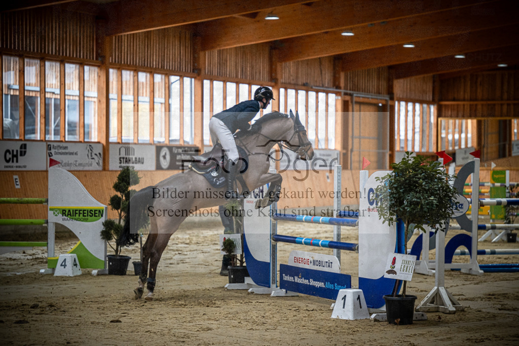 DOS_0321 | Entdecke hochwertige Reitturnierfotos von Foto Oger. Professionell, emotional und authentisch – jetzt Lieblingsmomente im Shop bestellen.Deutschlandweite Turnierfotografie. - Realisiert mit Pictrs.com