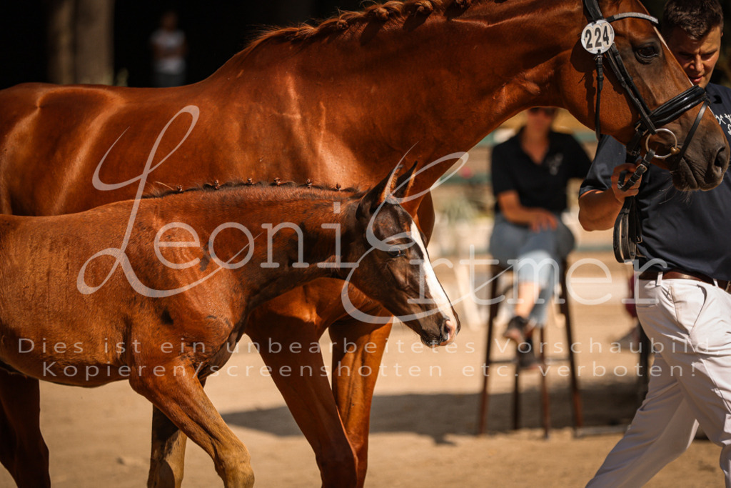 09.DoWBD00050 | Leoni Ertmer Photography - Realisiert mit Pictrs.com