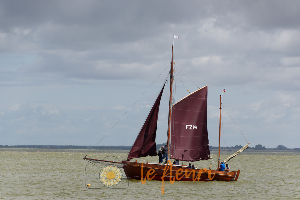 Zeeseboot | Dies ist der Shop von Florian Blum - le fleuri. Langenthal, Bern, Schweiz. Sie können hier meine oder ihre eigenen Fotos als Fotoprodukte kaufen. Tassen, Schlüsselanhänger, Taschen etc. können Sie hier gestalten.  - Realisiert mit Pictrs.com