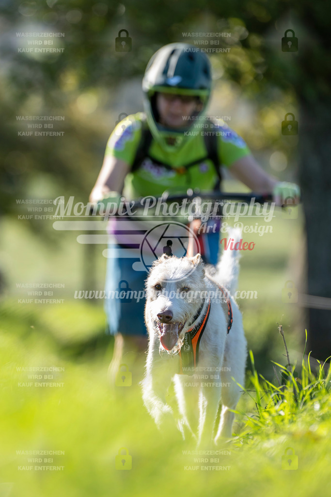 MompixPhotography_20TSB_E3_DS1-73 | PayLife