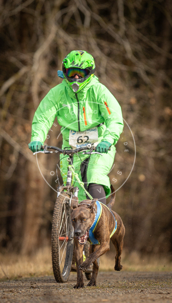 DV3A3542 | Hundefotografie, Tierfotograf, Pfotenfotografie, Fotoshooting Hund, Hunde Portrait, Hundesport, Hundeportraits, Heideshooting, Hunde, Sportfotograf, Hundefotograf, Turnierhundsport, THS,  - Realisiert mit Pictrs.com