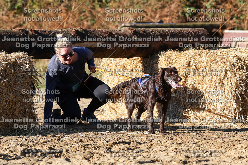 Dog Paparazzi - Strongdog 10-25-1759 | Dog Paparazzi Jeanette Grottendiek Fotografie & Videografie - Realisiert mit Pictrs.com