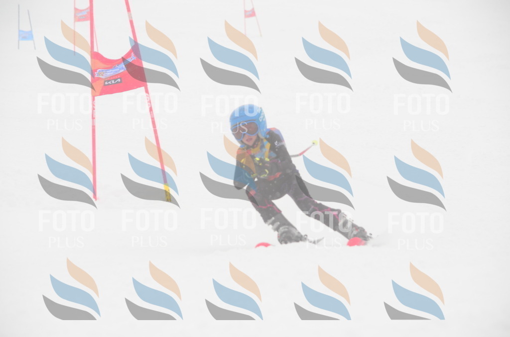 C0812 | holidayphoto