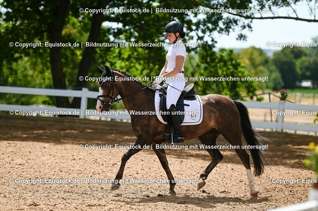 20230715_09_Dressur-WB_0127 | equistock