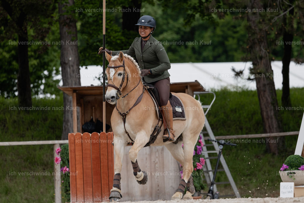 PI26_SP_StoibphotographyC2_C0204.jpg | working equitationturnier fotograf videograf stoibphotography marixx film working equitation deutschland reitsport turnierfotografie eventfotografie equestrian events