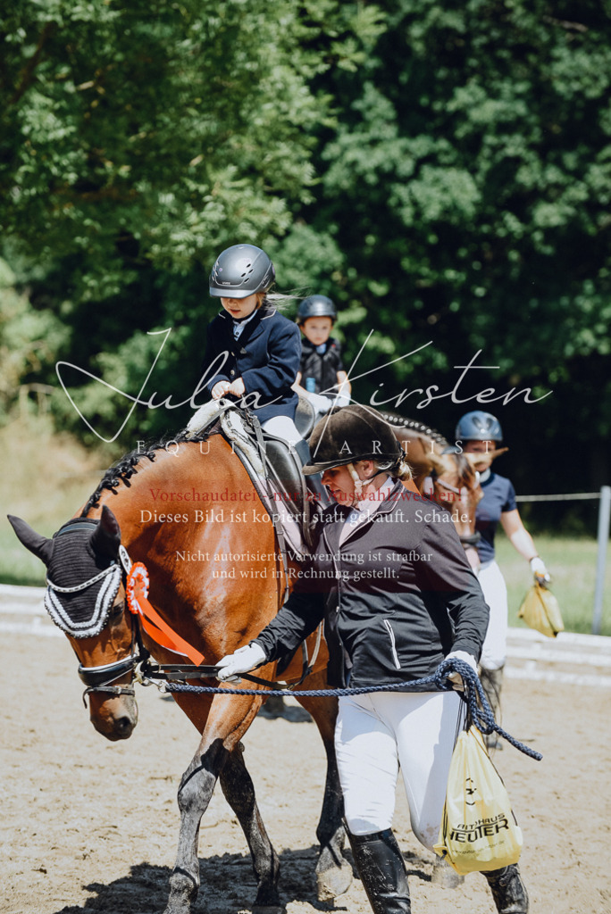 DSC_2719 | Pferde- und Turnierfotografie in Westsachsen. Pferdeportraits, Auftragszeichnungen und intuitive Kunst.