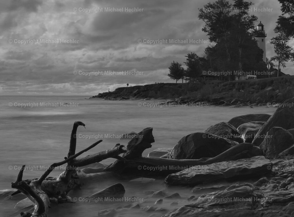 Drift Wood Lake Huron | Black and White Photography by Michael Hechler - Realisiert mit Pictrs.com