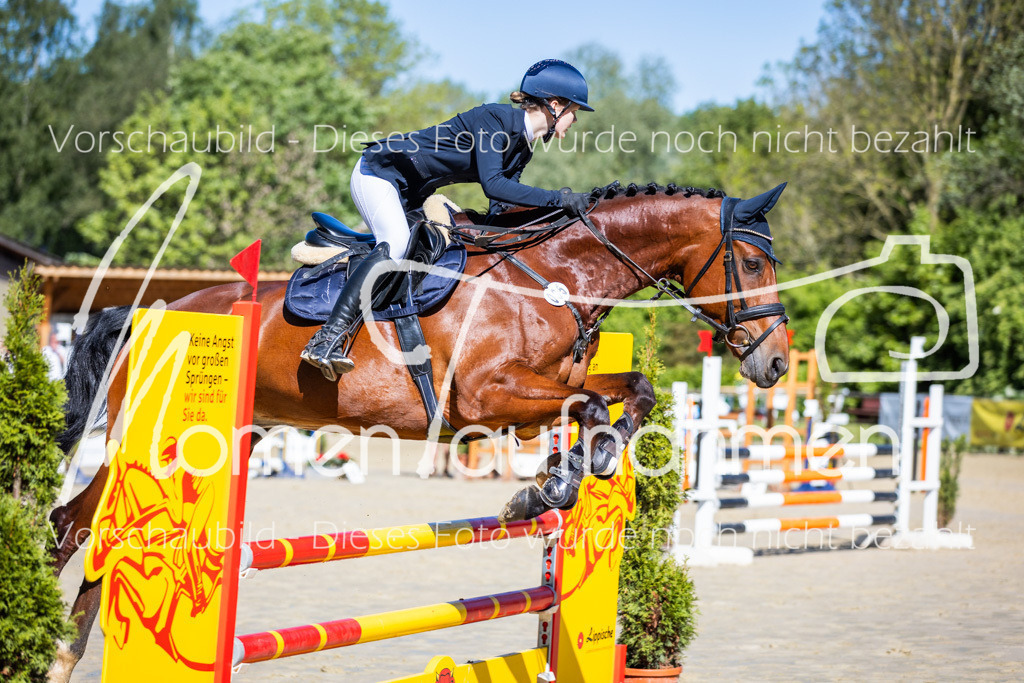 Donop24-A2Spr-032 | MomenTaufnahmen Pferdesportfotos