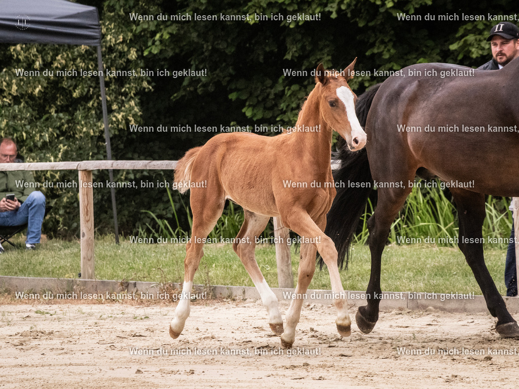 A10I9835 | photographylinaismer - Realisiert mit Pictrs.com