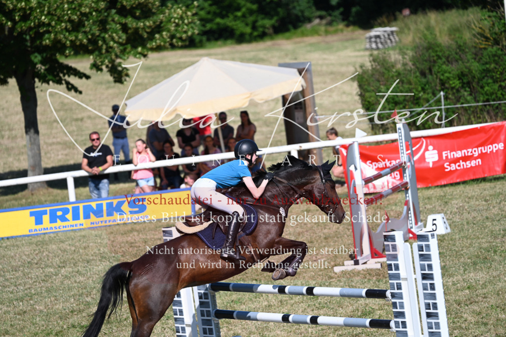 DSC_2372 | Pferde- und Turnierfotografie in Westsachsen. Pferdeportraits, Auftragszeichnungen und intuitive Kunst.