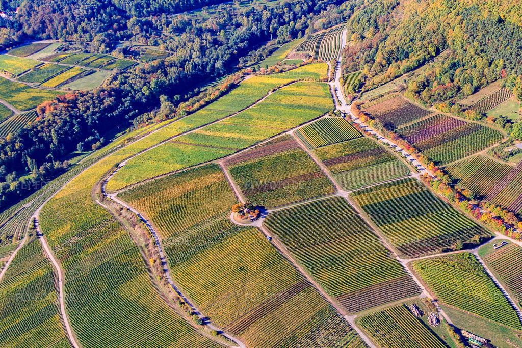 Luftbild: Michaelskapelle im Wingert in Weyher in der Pfalz im Bundesland Rheinland-Pfalz in Deutschland. Foto: IMG_22202.jpg vom 15.10.2009 durch Werner Riehm/FLY-FOTO.de