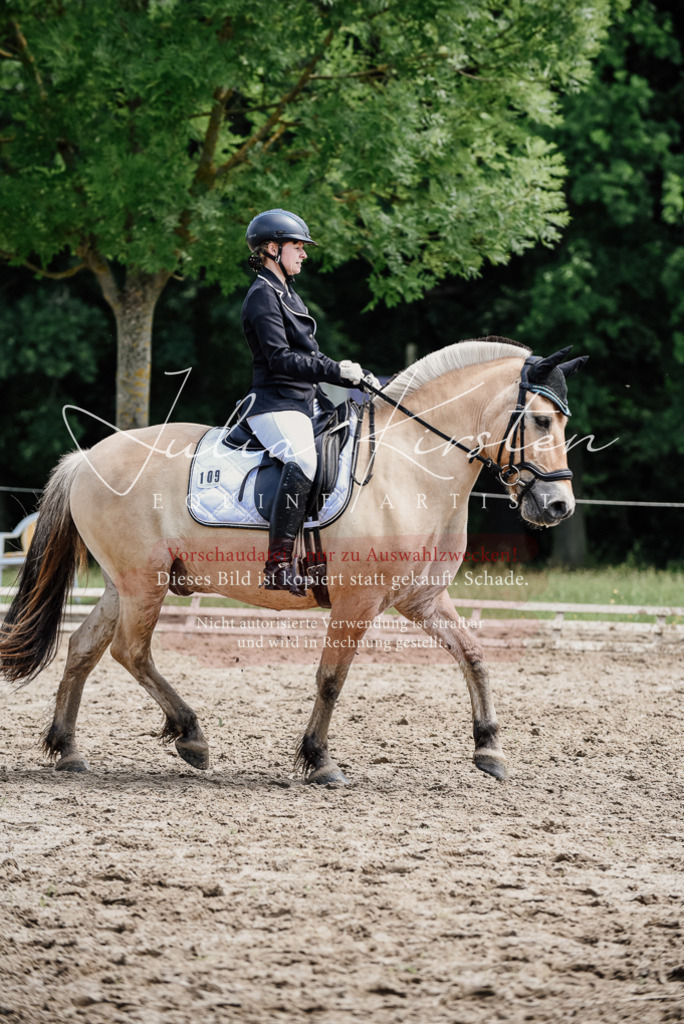 DSC_1639 | Pferde- und Turnierfotografie in Westsachsen. Pferdeportraits, Auftragszeichnungen und intuitive Kunst.