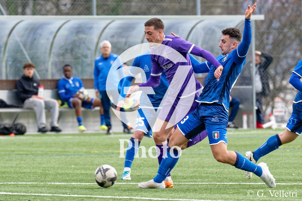 DSC_8309 | Velletri Photo