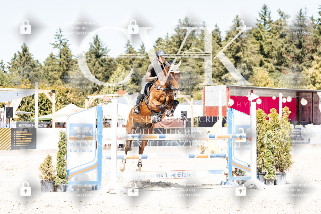 CK900314 | Turnierfotografie Pferdefotografie Trier Rheinland-Pfalz Pferdesport Reitsport Tierfotografie Sportfotografie Pferdevideo Pferdevideografie Equestrianvideography equestrianphotography  - Realisiert mit Pictrs.com