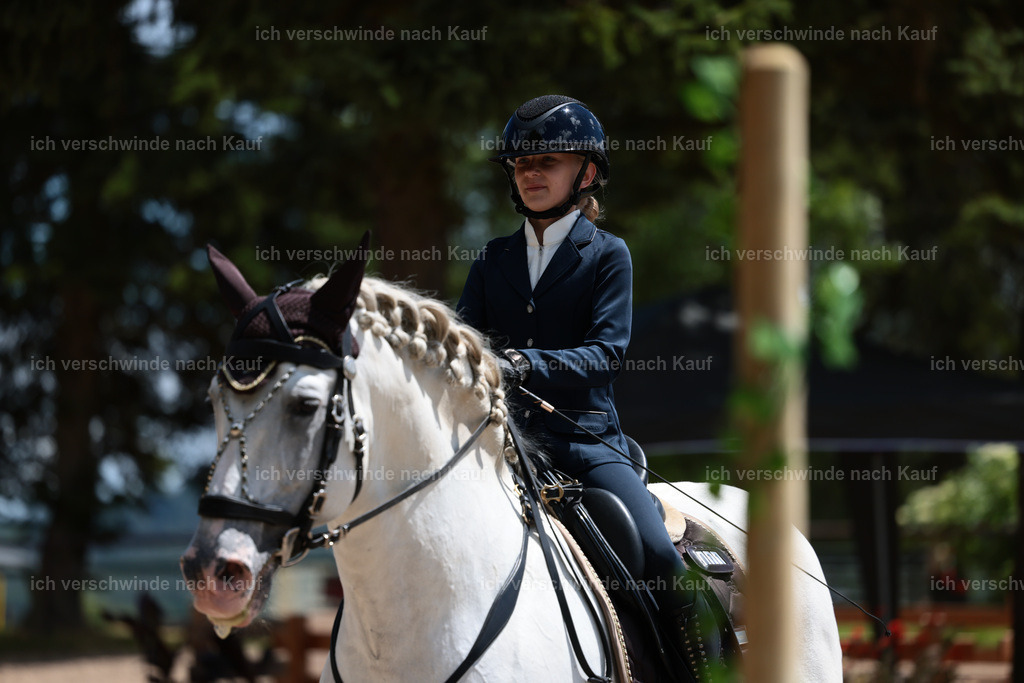 KlasseE_Stoibphotography_CAM22585.JPG | working equitationturnier fotograf videograf stoibphotography marixx film working equitation deutschland reitsport turnierfotografie eventfotografie equestrian events
