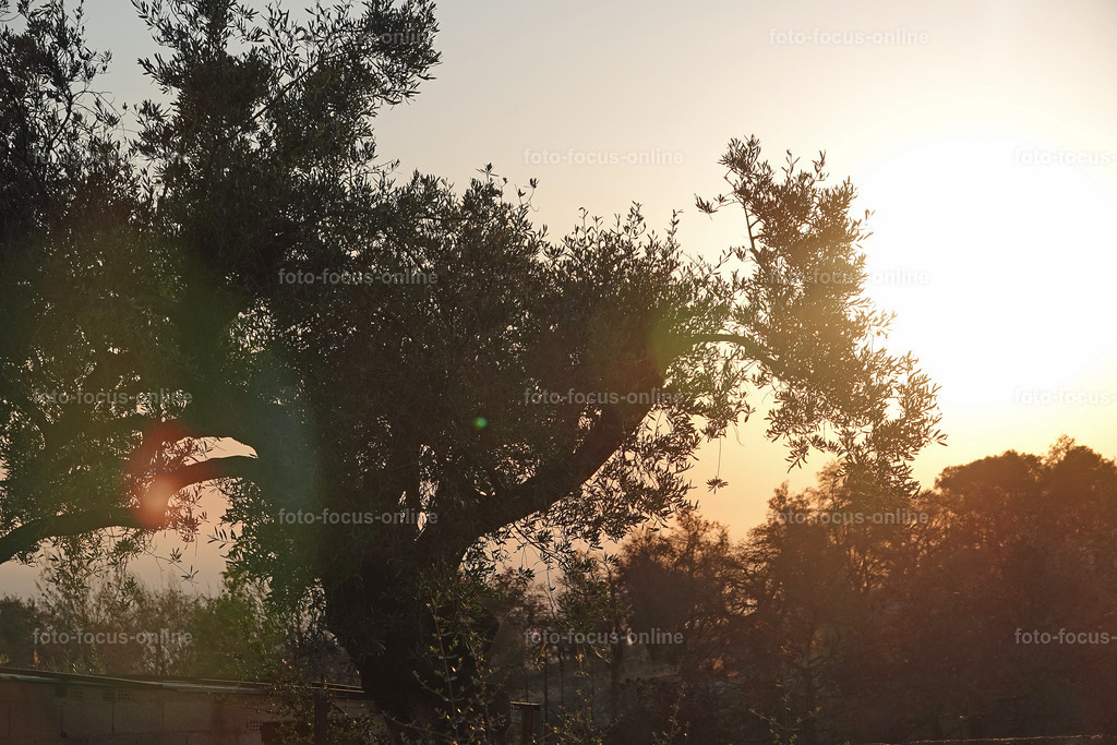 sunset | sunset