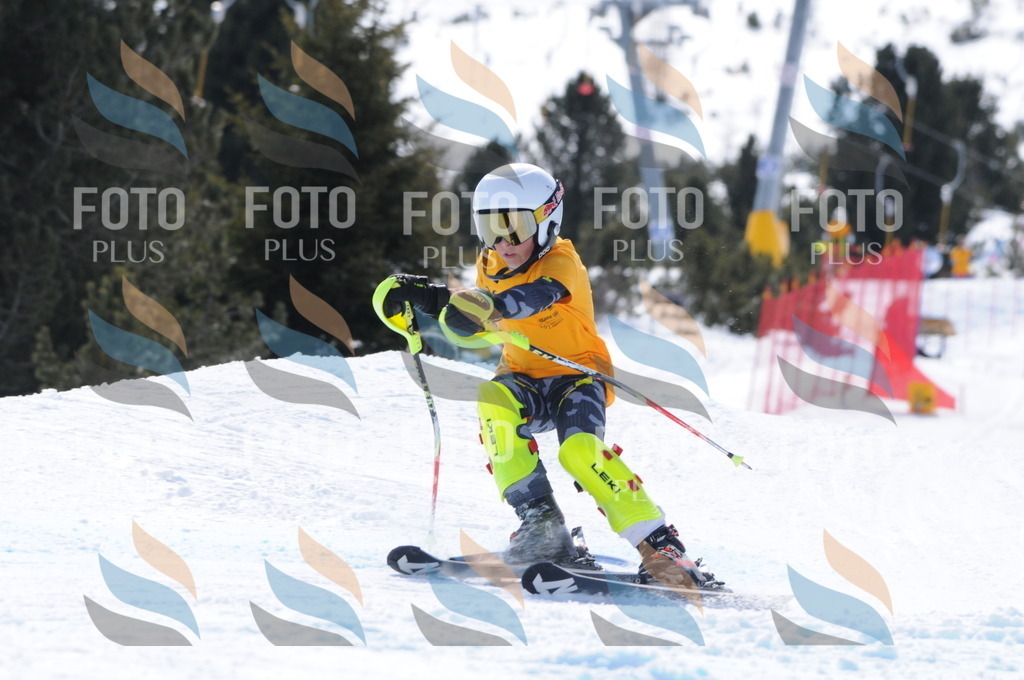 C9442 | holidayphoto