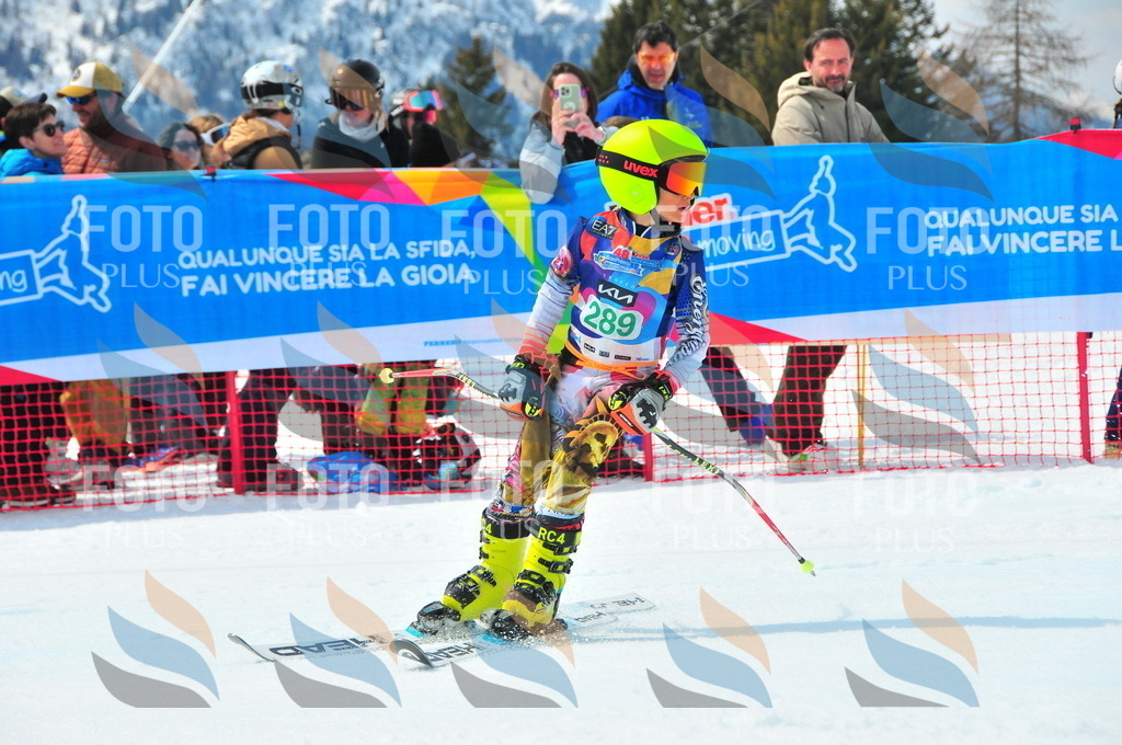 DSC_2699 | holidayphoto