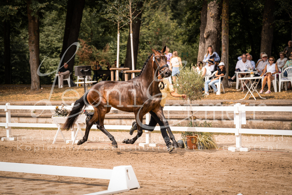 5.Fr00058 | Leoni Ertmer Photography - Realisiert mit Pictrs.com