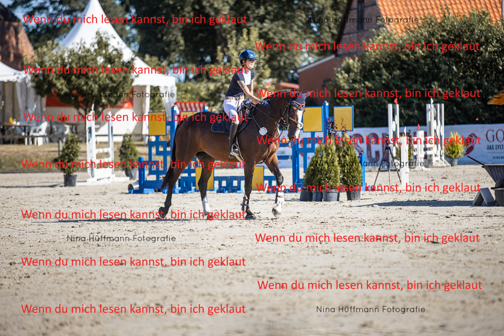 BK1A7262 | Turnierbilder Turnierfotos Nina Hüffmann Turnierfotografie Pferdefotografie Tierzeichnung Haustierzeichnung Pferdezeichnung Hundezeichnung Videograf  - Realisiert mit Pictrs.com
