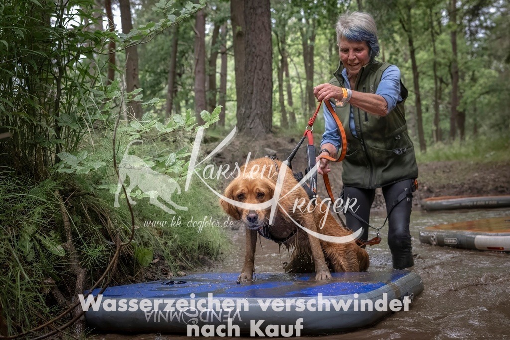 0928_ZZ92542T | kk-dogfotos