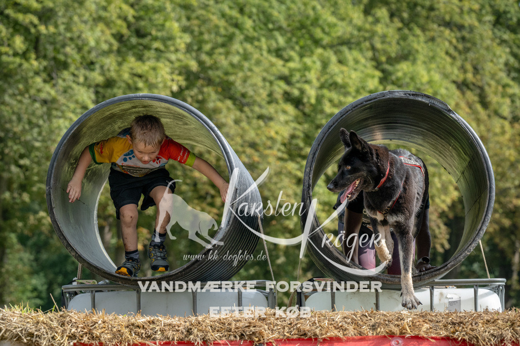 1125_ZZ94173 | kk-dogfotos