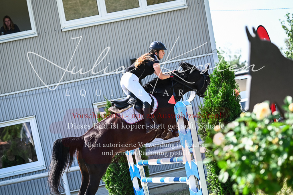 DSC_1325 | Pferde- und Turnierfotografie in Westsachsen. Pferdeportraits, Auftragszeichnungen und intuitive Kunst.