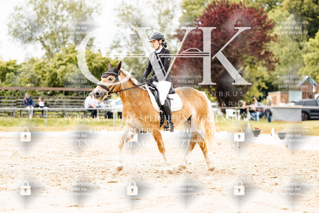 CK903018 | Turnierfotografie Pferdefotografie Trier Rheinland-Pfalz Pferdesport Reitsport Tierfotografie Sportfotografie Pferdevideo Pferdevideografie Equestrianvideography equestrianphotography  - Realisiert mit Pictrs.com