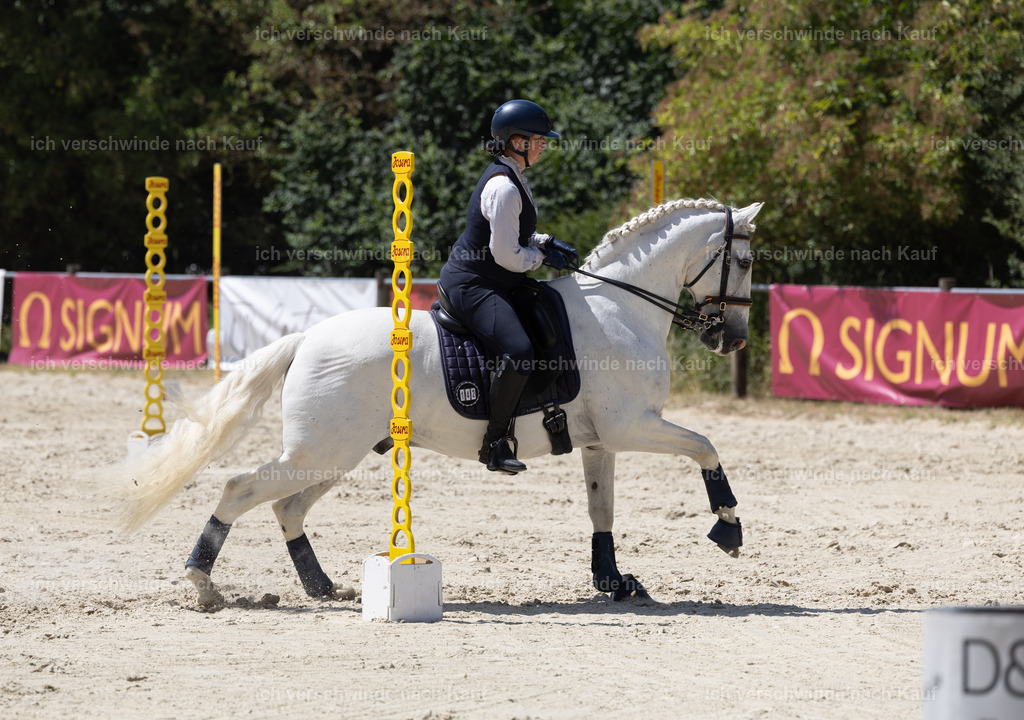 WM_Speed_142_KerstinBernhardt-7 | working equitationturnier fotograf videograf stoibphotography marixx film working equitation deutschland reitsport turnierfotografie eventfotografie equestrian events