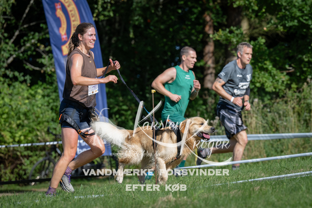 1017_ZZ98097 | kk-dogfotos