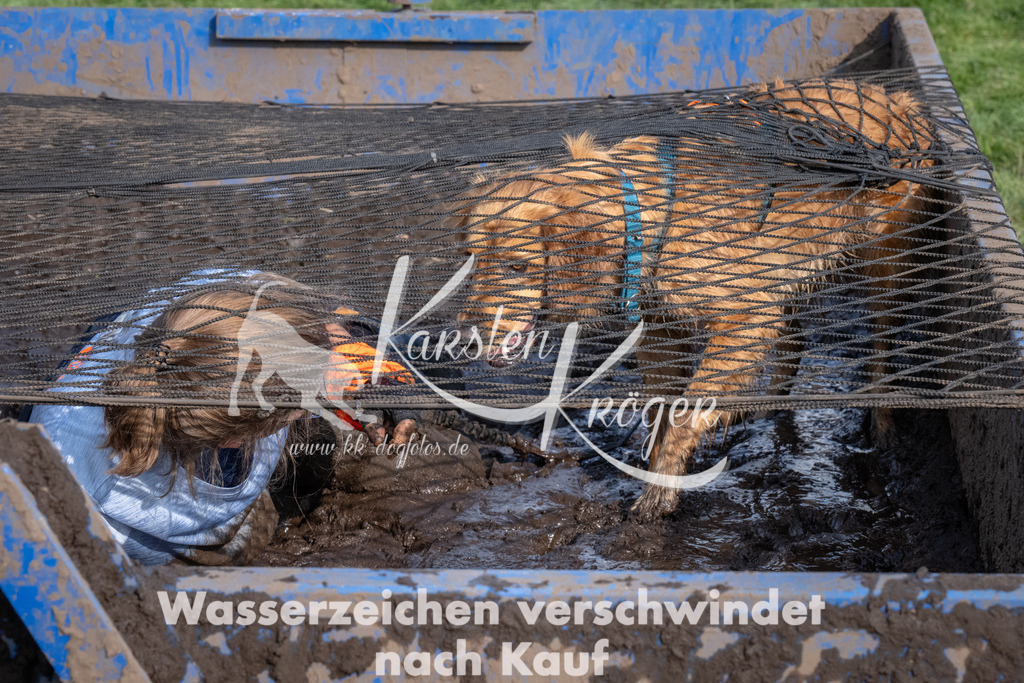 1610_ZZ91822 | kk-dogfotos