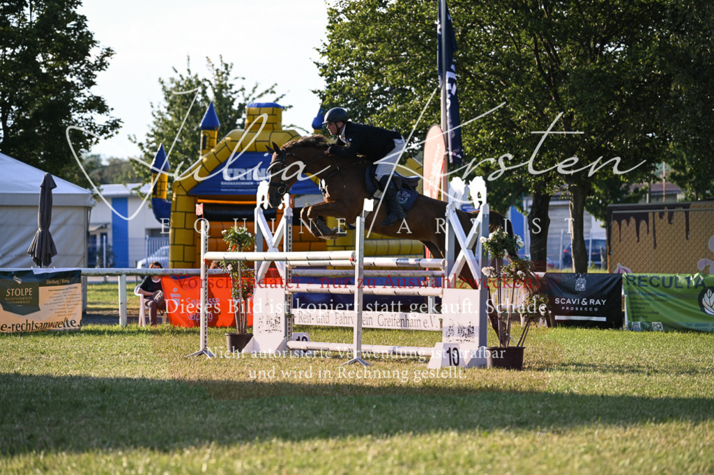 DSC_1832 | Pferde- und Turnierfotografie in Westsachsen. Pferdeportraits, Auftragszeichnungen und intuitive Kunst.