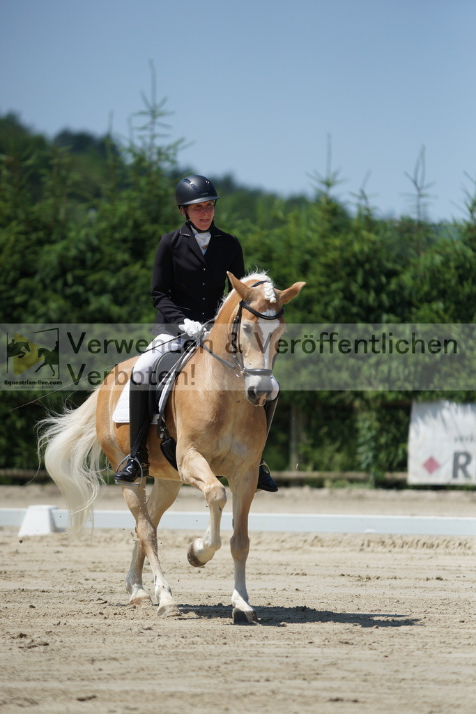 DSC03513 | equestrian-live-com