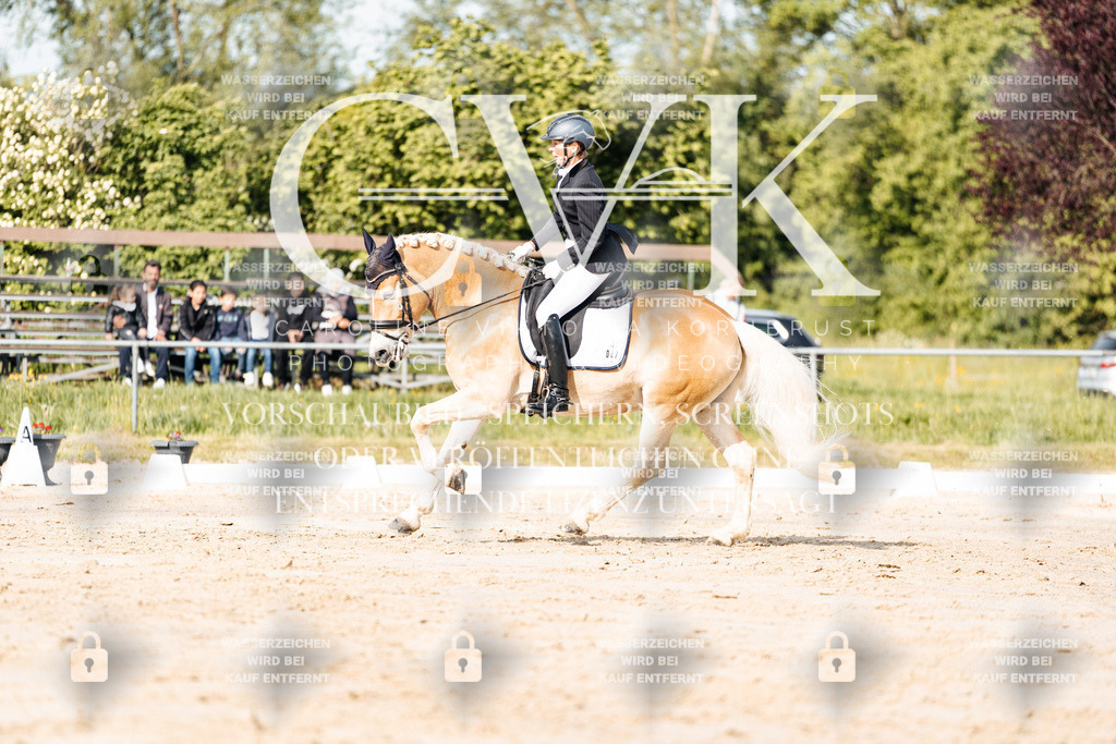 CK900158 | Turnierfotografie Pferdefotografie Trier Rheinland-Pfalz Pferdesport Reitsport Tierfotografie Sportfotografie Pferdevideo Pferdevideografie Equestrianvideography equestrianphotography  - Realisiert mit Pictrs.com