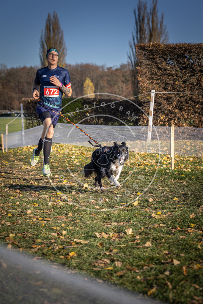CaniXpix_DV3A0898 | Hundefotografie, Tierfotograf, Pfotenfotografie, Fotoshooting Hund, Hunde Portrait, Hundesport, Hundeportraits, Heideshooting, Hunde, Sportfotograf, Hundefotograf, Turnierhundsport, THS,  - Realisiert mit Pictrs.com