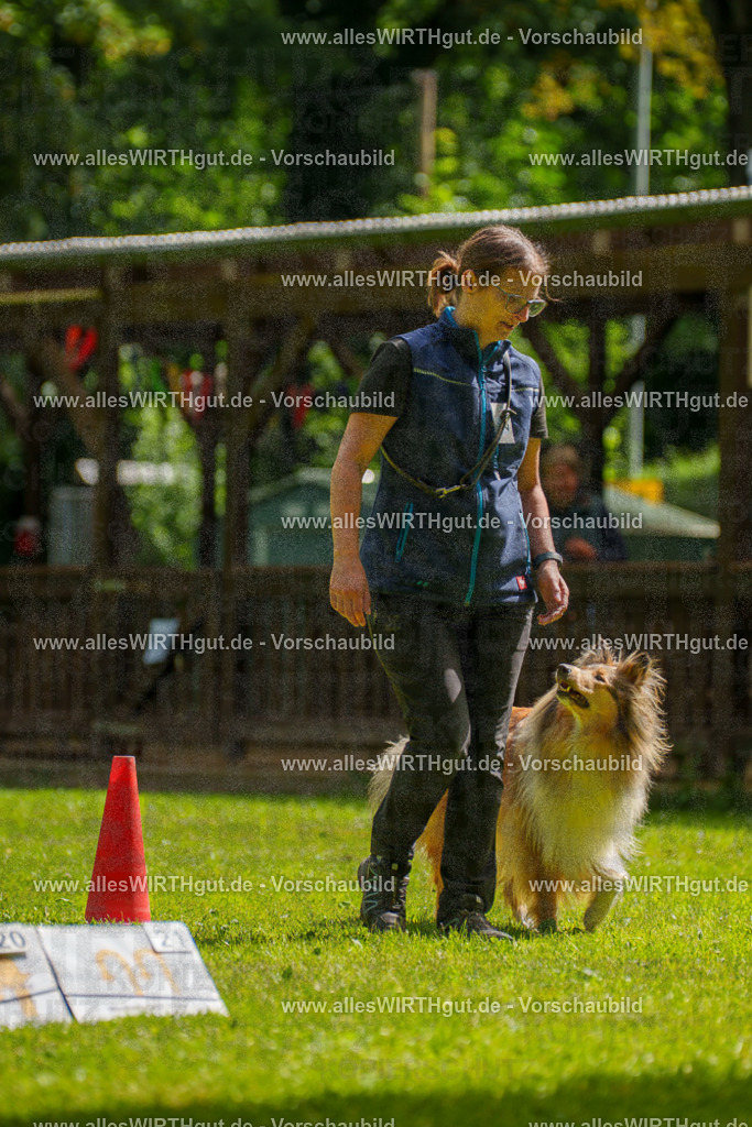 @allesWIRTHgut_Tierfotografie - www.allesWIRTHgut.de - 095605-7R507860 | Professionelle Tierfotografie in Mönchengladbach von Daniel Wirth (allesWIRTHgut). Liebevolle & natürliche Bilder von Hunden & Katzen für unvergessliche Erinnerungen.